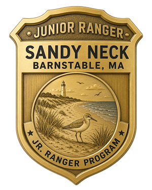 Sandy Neck Jr. Ranger