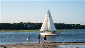 Dowses Beach